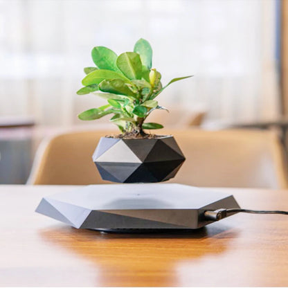 ZenLev™ – Levitating Air Bonsai Pot with Magnetic Rotation for Stylish Homes